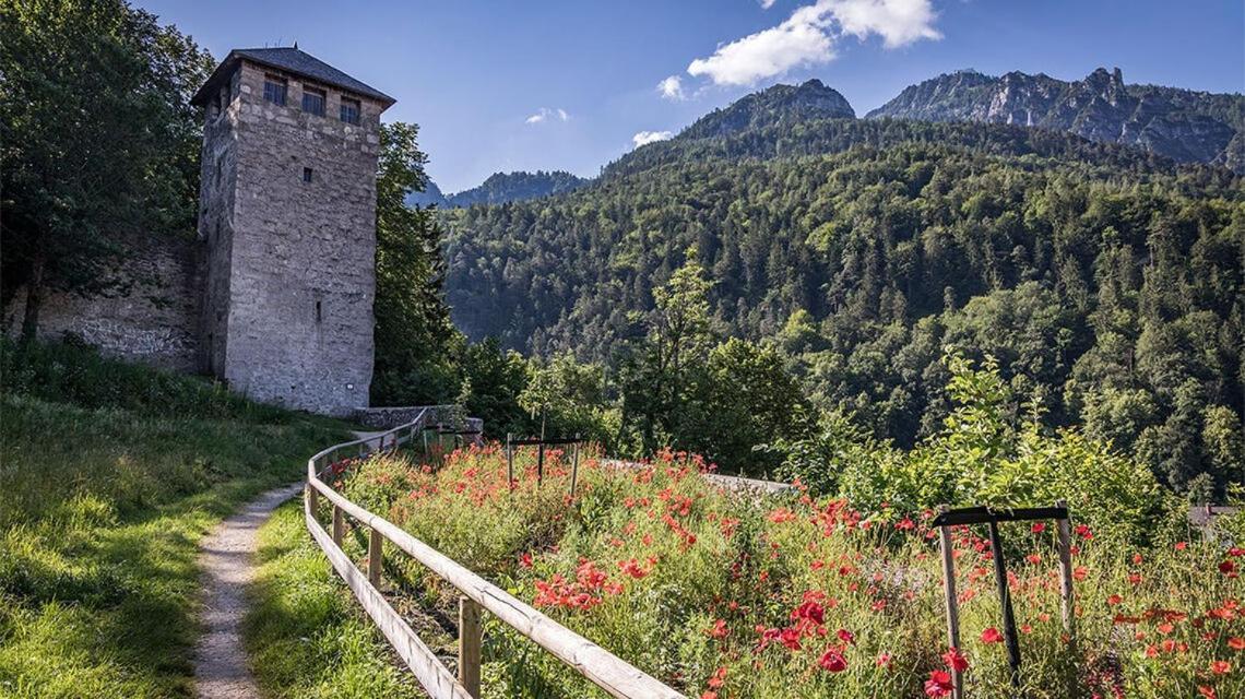 Ferienwohnungen Brigitte In Der Altstadt Bad Reichenhall Dış mekan fotoğraf